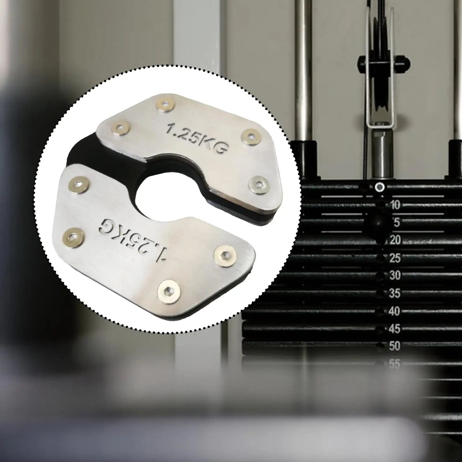 Fractional Weight Plate 1.25KG