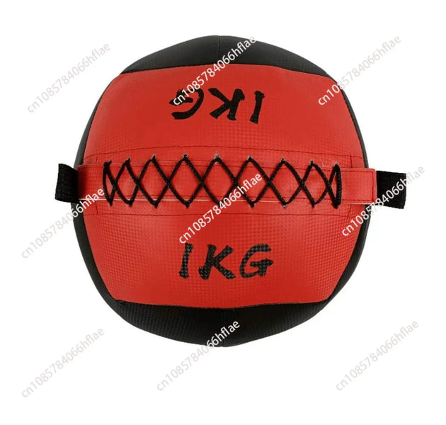 Wall Medicine Ball Fitness