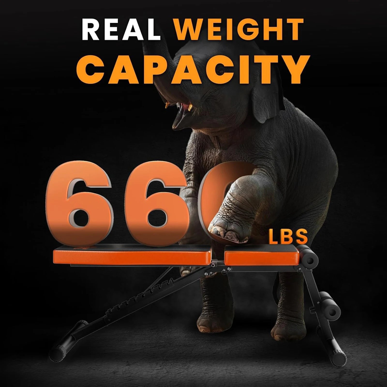 Weight Bench Foldable Adjustable