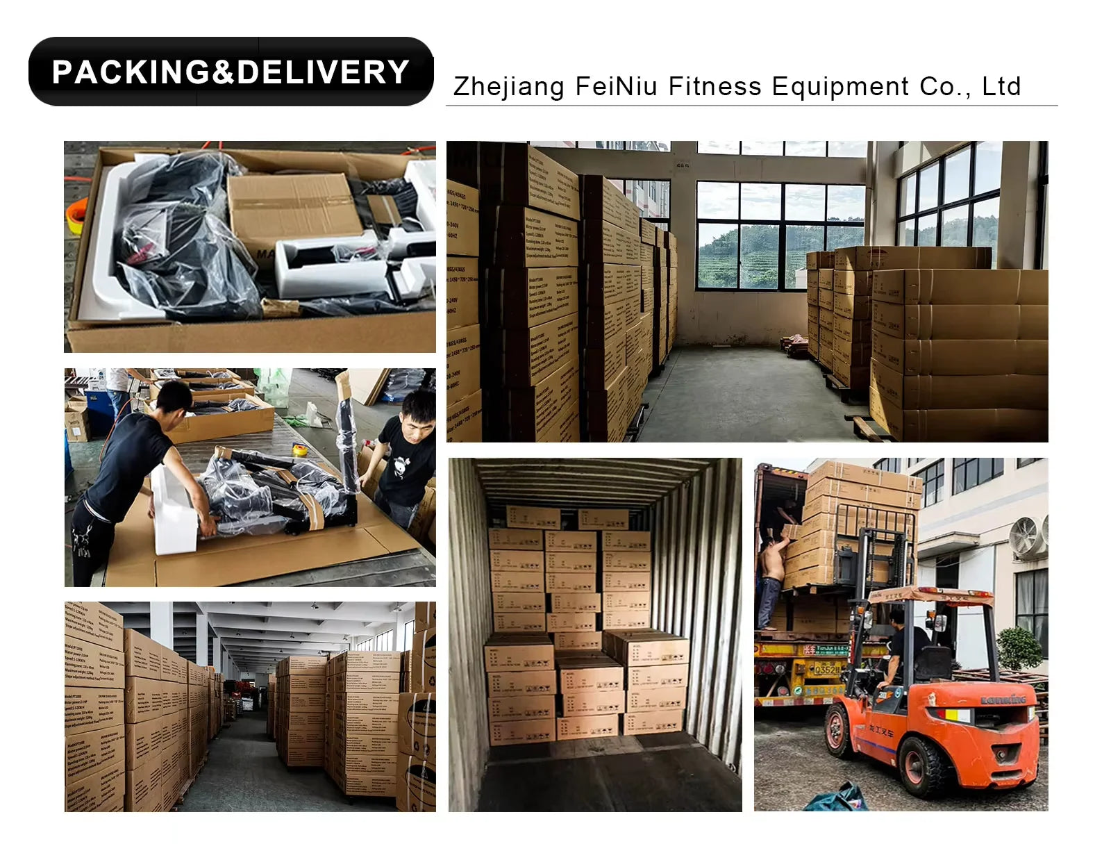 Gym Fitness Equipment Indoor Bicycle